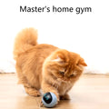 Smart Cat Toy USB Rechargeable Kitten Automatic Ball Toys Electric Jumping Ball Self Rotating Toys for Cat Kitten Dog Puppy Kids